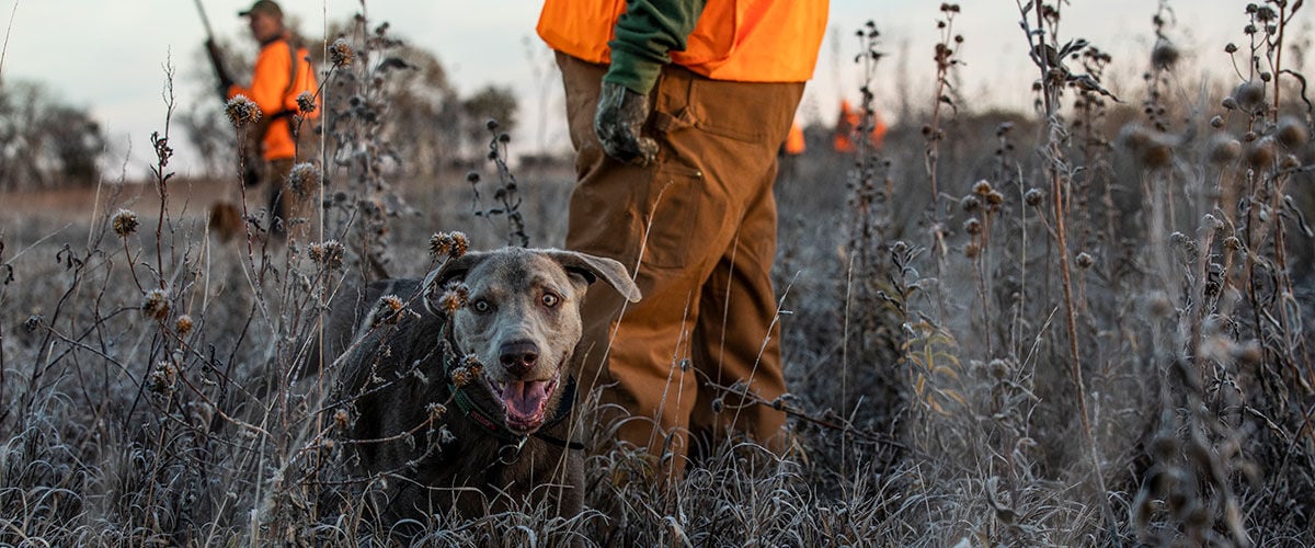 hunters and dog in a frozen field